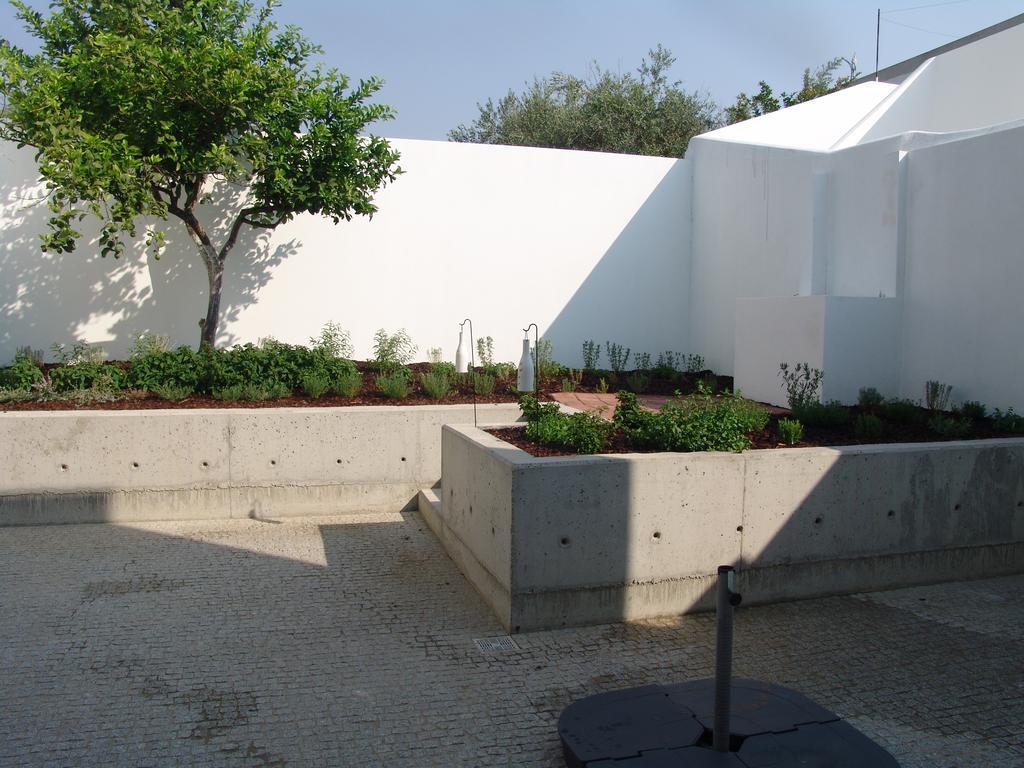 Vila Casa Dos Aromas Évora Exteriér fotografie
